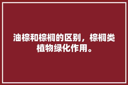 油棕和棕榈的区别，棕榈类植物绿化作用。