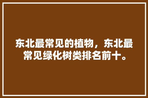 东北最常见的植物，东北最常见绿化树类排名前十。  第1张 东北最常见的植物，东北最常见绿化树类排名前十。 种植技术
