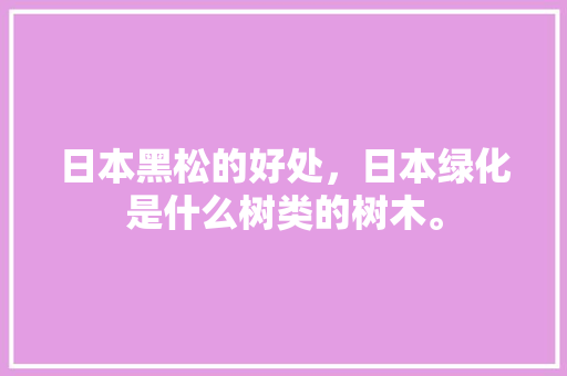 日本黑松的好处，日本绿化是什么树类的树木。