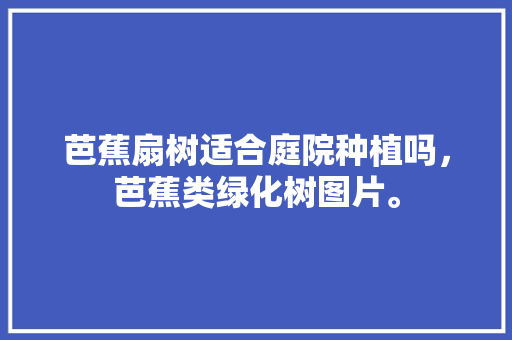 芭蕉扇树适合庭院种植吗，芭蕉类绿化树图片。