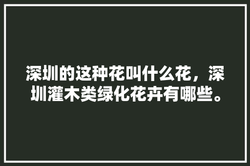 深圳的这种花叫什么花，深圳灌木类绿化花卉有哪些。