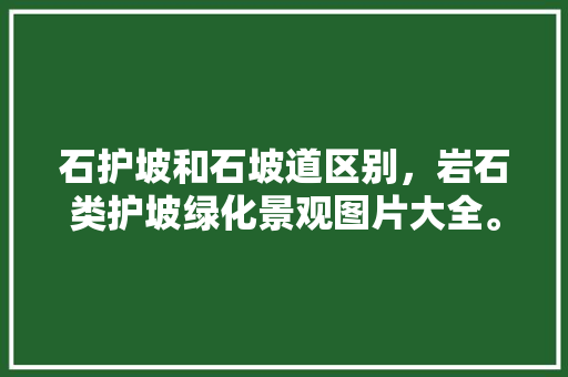石护坡和石坡道区别，岩石类护坡绿化景观图片大全。