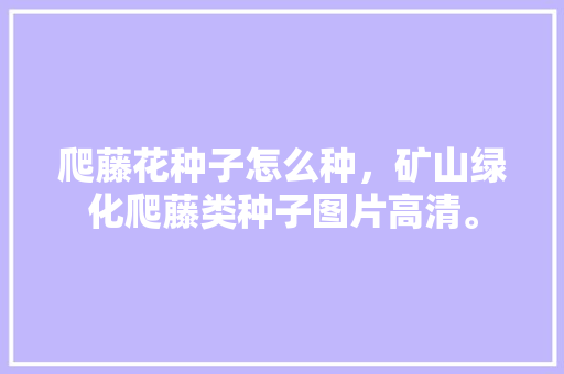 爬藤花种子怎么种，矿山绿化爬藤类种子图片高清。