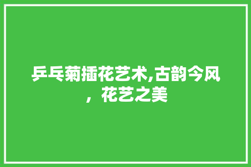 乒乓菊插花艺术,古韵今风，花艺之美