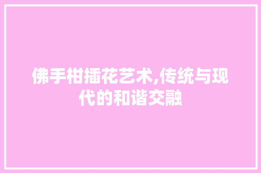 佛手柑插花艺术,传统与现代的和谐交融