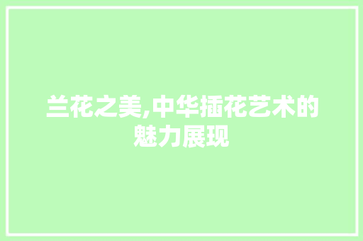 兰花之美,中华插花艺术的魅力展现