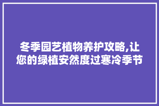 冬季园艺植物养护攻略,让您的绿植安然度过寒冷季节