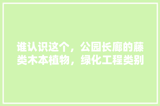 谁认识这个，公园长廊的藤类木本植物，绿化工程类别划分标准。