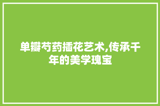 单瓣芍药插花艺术,传承千年的美学瑰宝