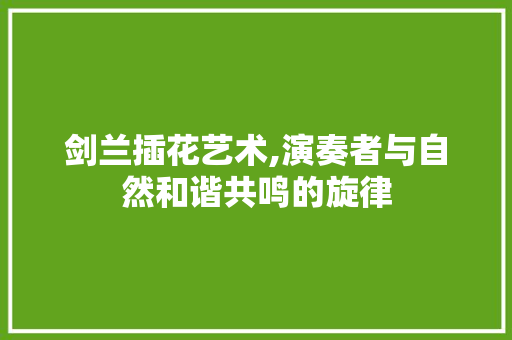 剑兰插花艺术,演奏者与自然和谐共鸣的旋律
