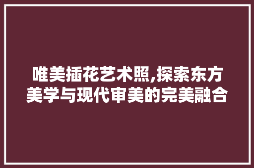 唯美插花艺术照,探索东方美学与现代审美的完美融合