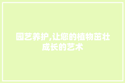 园艺养护,让您的植物茁壮成长的艺术