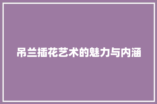 吊兰插花艺术的魅力与内涵