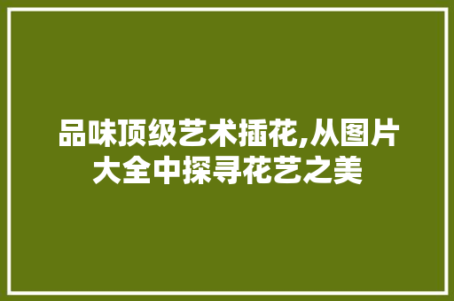 品味顶级艺术插花,从图片大全中探寻花艺之美