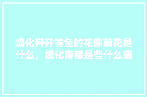 绿化带开黄色的花像菊花是什么，绿化带都是些什么菊科类植物。