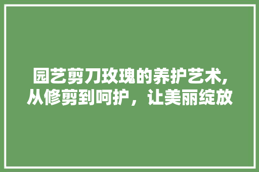 园艺剪刀玫瑰的养护艺术,从修剪到呵护，让美丽绽放
