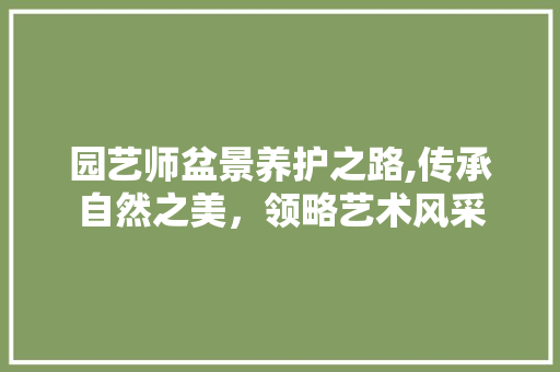 园艺师盆景养护之路,传承自然之美，领略艺术风采