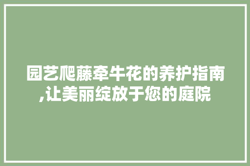 园艺爬藤牵牛花的养护指南,让美丽绽放于您的庭院