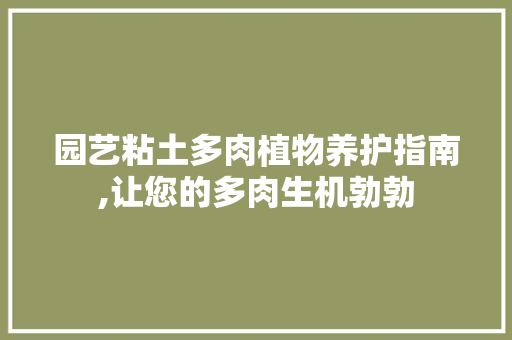 园艺粘土多肉植物养护指南,让您的多肉生机勃勃