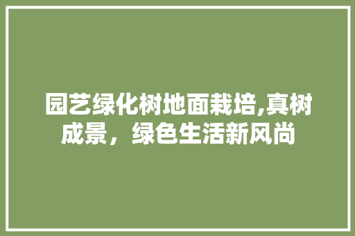 园艺绿化树地面栽培,真树成景，绿色生活新风尚