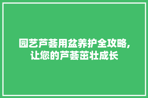 园艺芦荟用盆养护全攻略,让您的芦荟茁壮成长