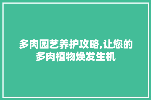 多肉园艺养护攻略,让您的多肉植物焕发生机