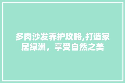 多肉沙发养护攻略,打造家居绿洲，享受自然之美