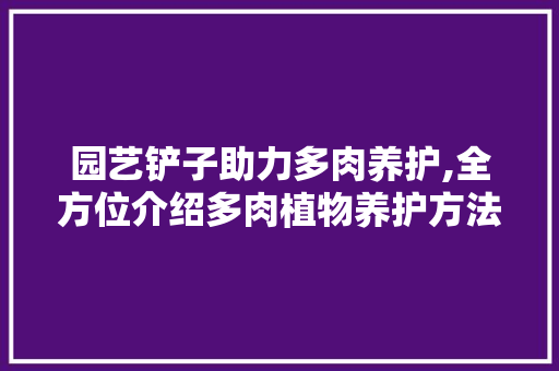 园艺铲子助力多肉养护,全方位介绍多肉植物养护方法