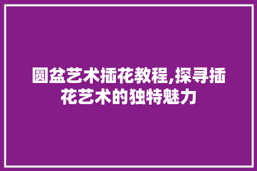 圆盆艺术插花教程,探寻插花艺术的独特魅力