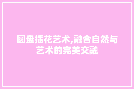 圆盘插花艺术,融合自然与艺术的完美交融