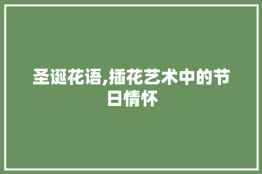 圣诞花语,插花艺术中的节日情怀