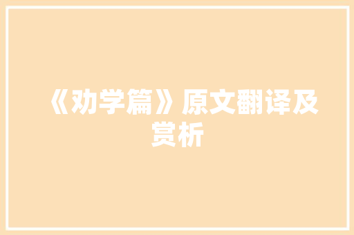 小菊插花,古典美学的现代演绎