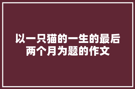 小蓝子插花艺术,传统与现代的交融之美