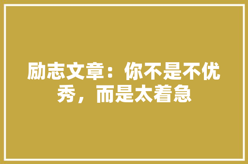 工艺花瓶插花艺术,传统与现代的交融之美