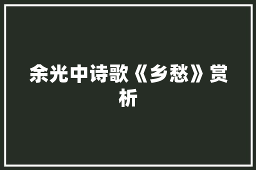 寓意深长的插花艺术,花语中的哲学与美学