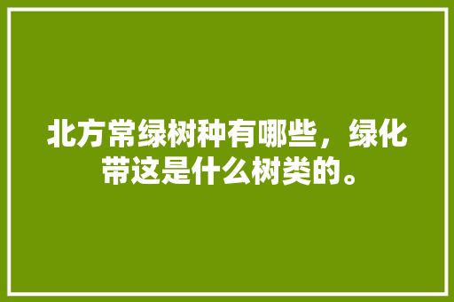 北方常绿树种有哪些，绿化带这是什么树类的。