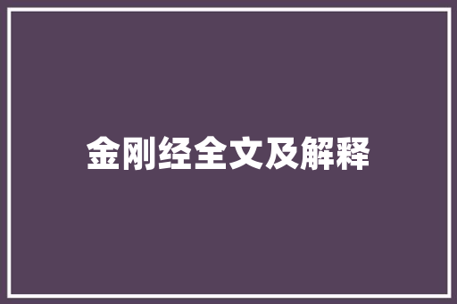 小莲蓬插花,传统艺术与现代审美的完美融合