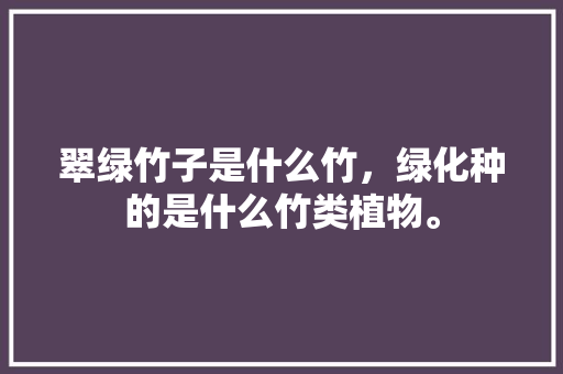 翠绿竹子是什么竹，绿化种的是什么竹类植物。  第1张 翠绿竹子是什么竹，绿化种的是什么竹类植物。 栽培技术