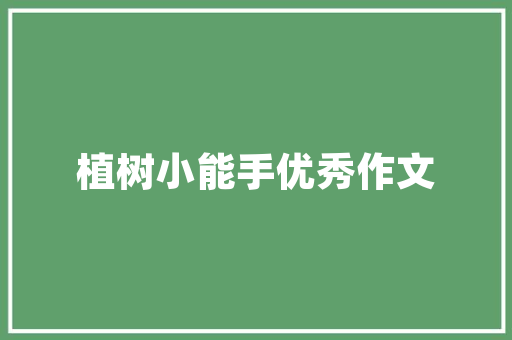 开张花篮插花艺术,传统之美与现代生活的完美融合