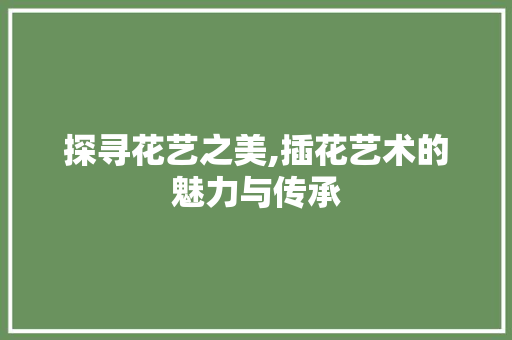 探寻花艺之美,插花艺术的魅力与传承