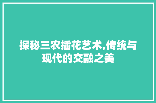 探秘三农插花艺术,传统与现代的交融之美