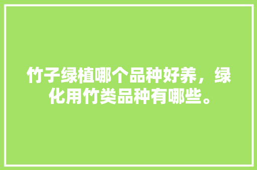 竹子绿植哪个品种好养，绿化用竹类品种有哪些。