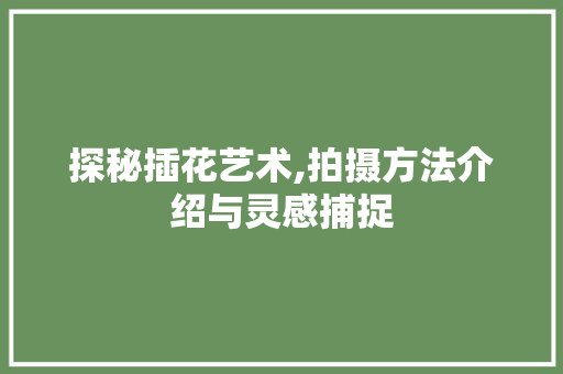 探秘插花艺术,拍摄方法介绍与灵感捕捉
