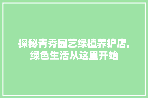 探秘青秀园艺绿植养护店,绿色生活从这里开始