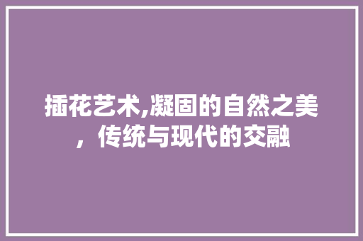 插花艺术,凝固的自然之美，传统与现代的交融
