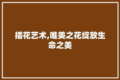 插花艺术,唯美之花绽放生命之美