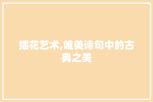 插花艺术,唯美诗句中的古典之美