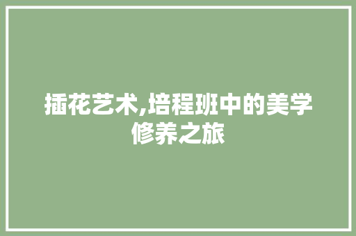 插花艺术,培程班中的美学修养之旅