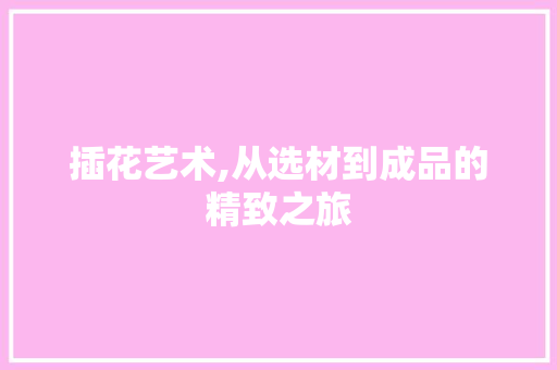 插花艺术,从选材到成品的精致之旅