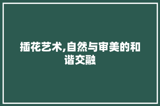 插花艺术,自然与审美的和谐交融 花卉百科